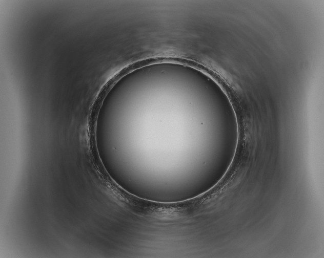X0000116601264200912111107