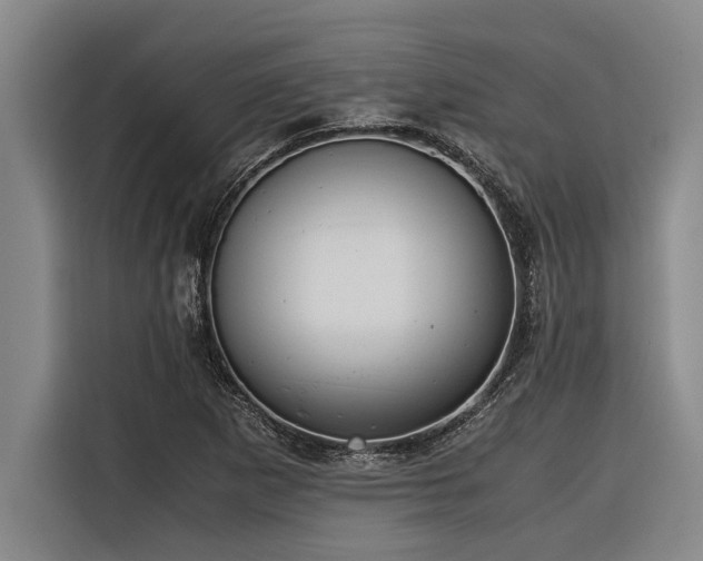 X0000116601265200912111107