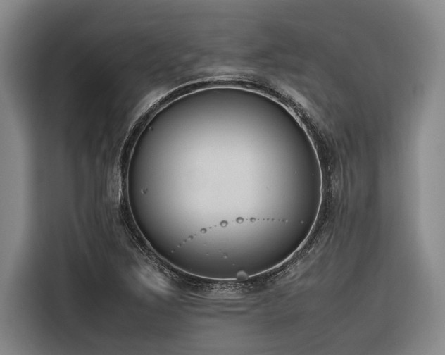 X0000116601267200912111107
