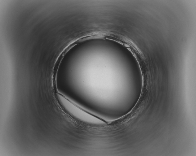 X0000116601268200912111107