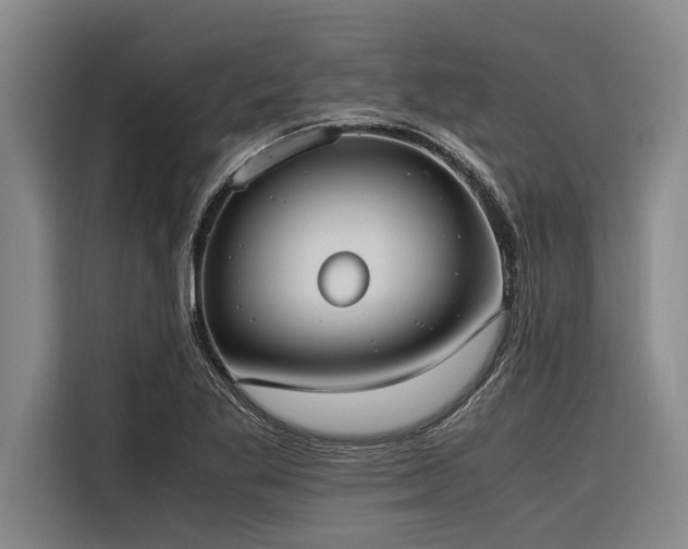 X0000116601269200912111107