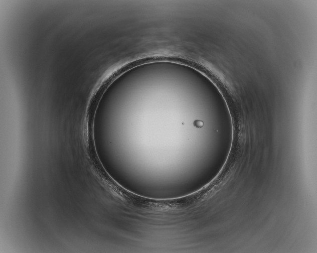 X0000116601270200912111107