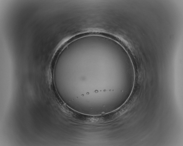 X0000116601271200912111107