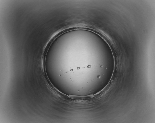 X0000116601272200912111107