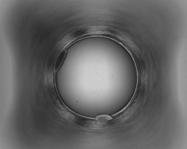 X0000116601273200912111107