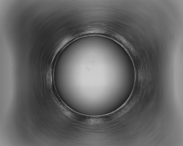 X0000116601274200912111107