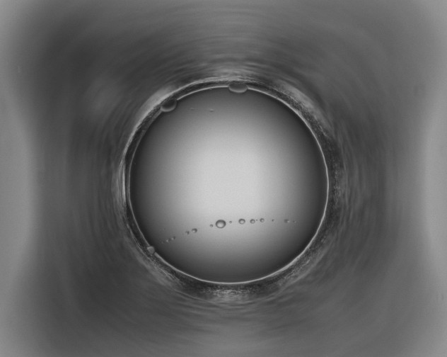 X0000116601275200912111106