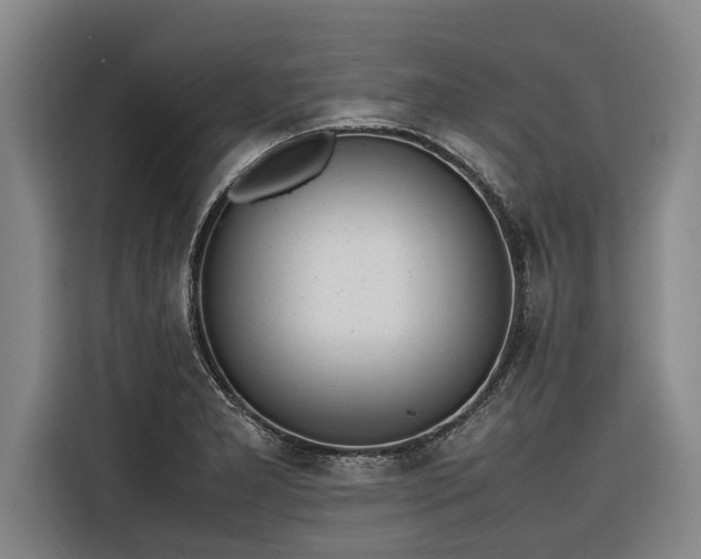 X0000116601277200912111106