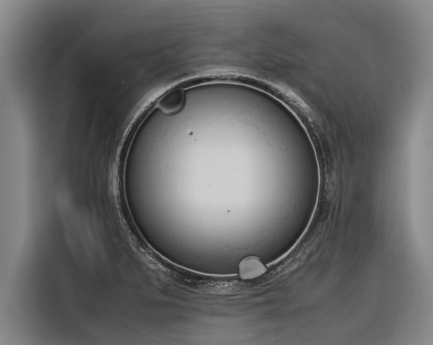 X0000116601279200912111106