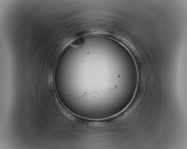 X0000116601281200912111106