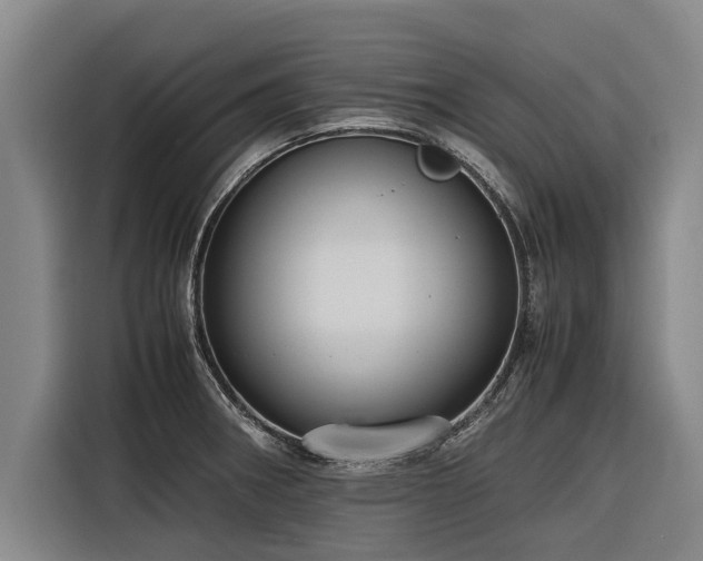 X0000116601282200912111106