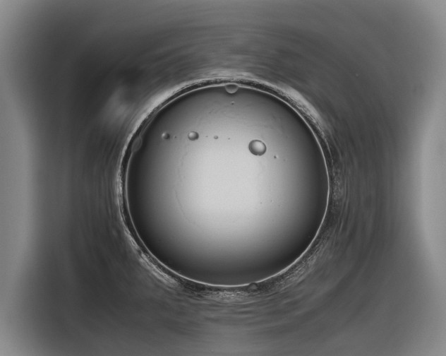 X0000116601287200912111106