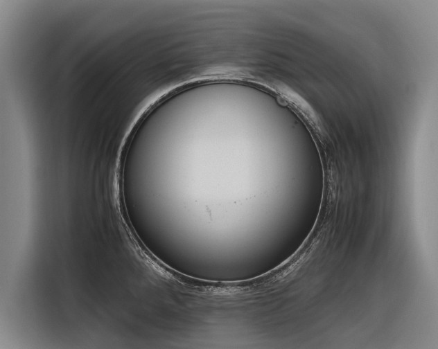 X0000116601288200912111106
