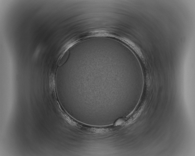 X0000116601289200912111106