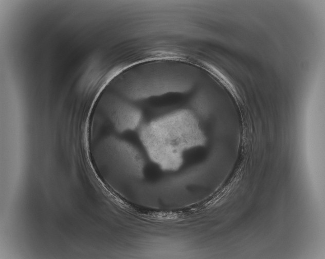 X0000116601291200912111106