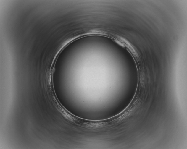 X0000116601292200912111106