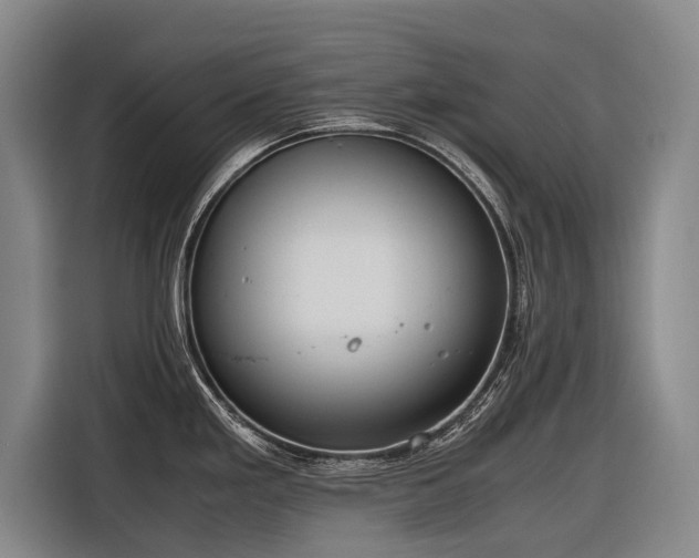 X0000116601293200912111106
