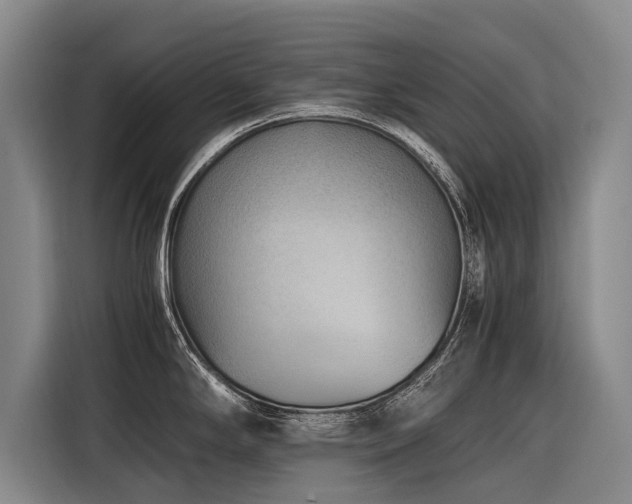 X0000116601294200912111106