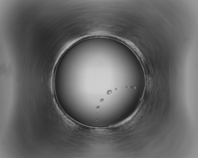 X0000116601295200912111106
