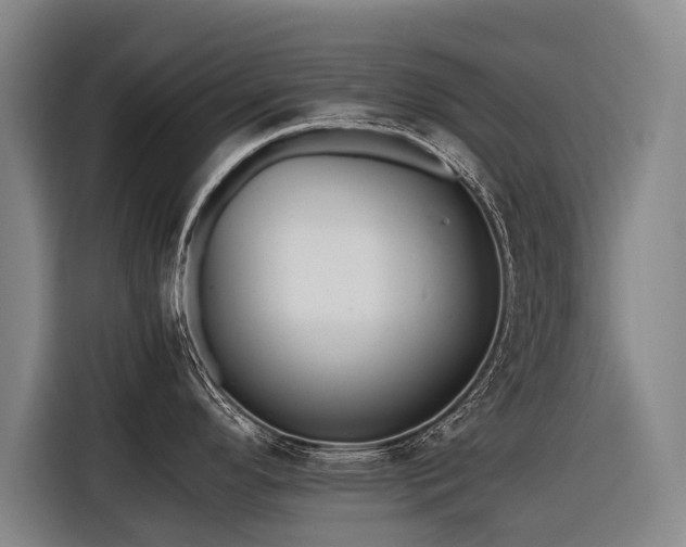 X0000116601296200912111106