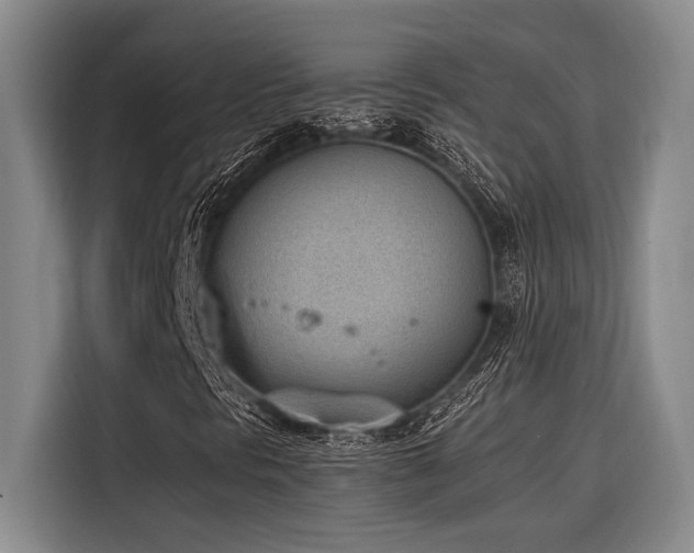 X0000116601297200912111106