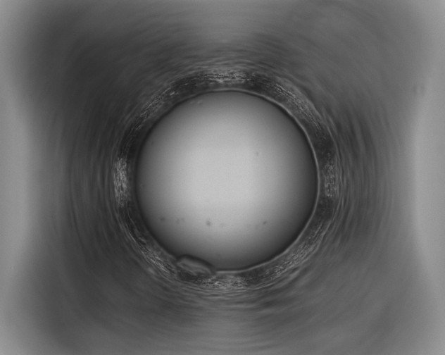 X0000116601298200912111106