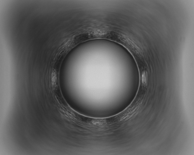X0000116601299200912111106