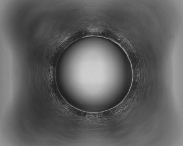 X0000116601301200912111106