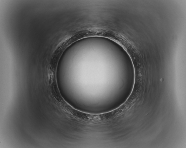 X0000116601302200912111106