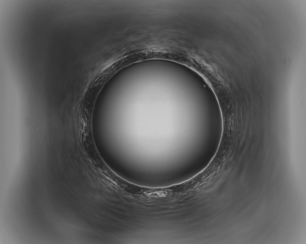 X0000116601303200912111106
