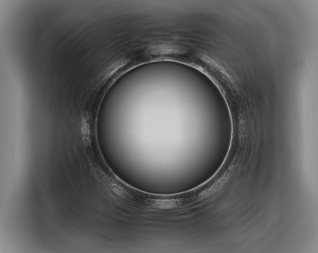 X0000116601305200912111106
