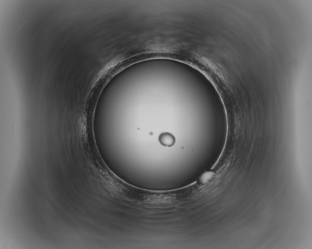 X0000116601307200912111106