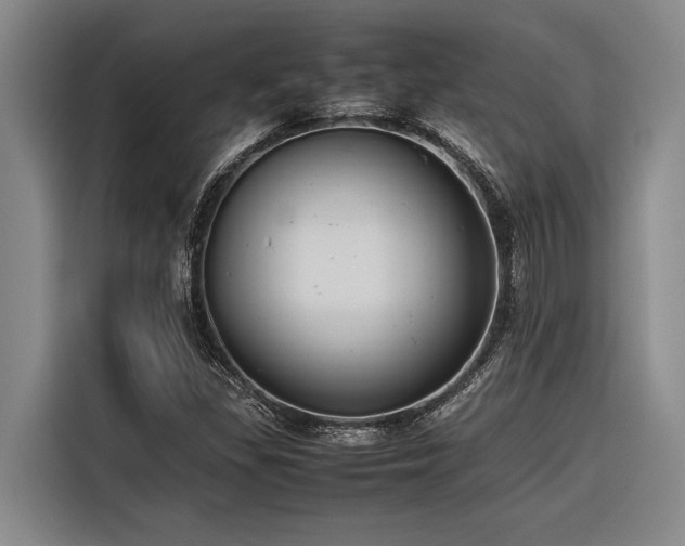 X0000116601309200912111106