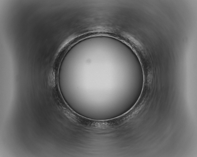 X0000116601310200912111106