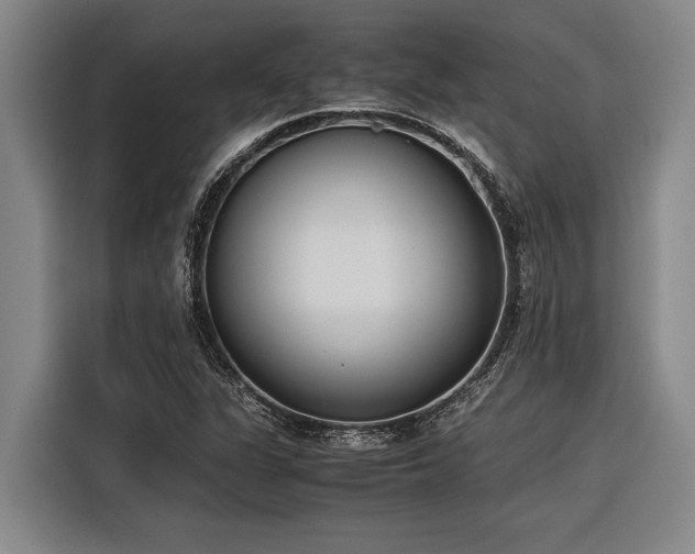 X0000116601311200912111106