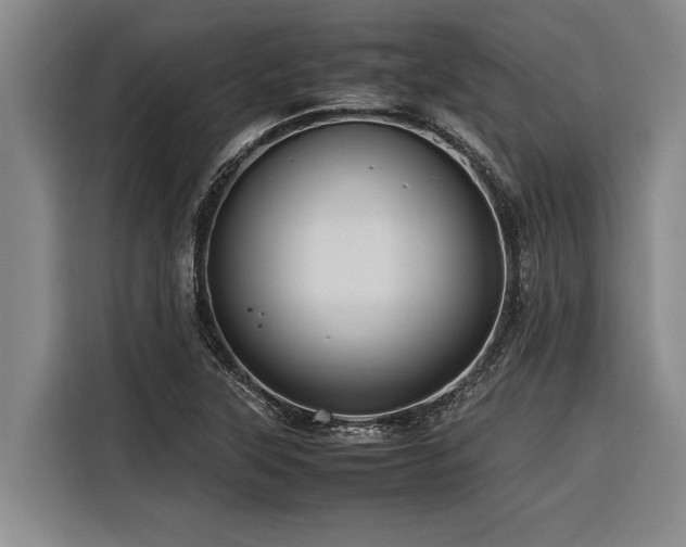 X0000116601315200912111106