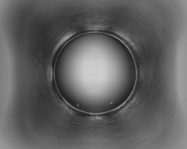 X0000116601317200912111106