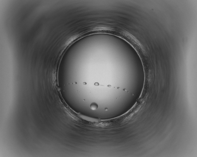 X0000116601321200912111106