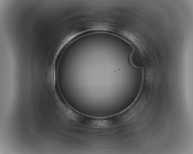 X0000116601323200912111106