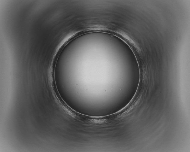 X0000116601325200912111106