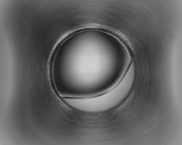 X0000116601326200912111106