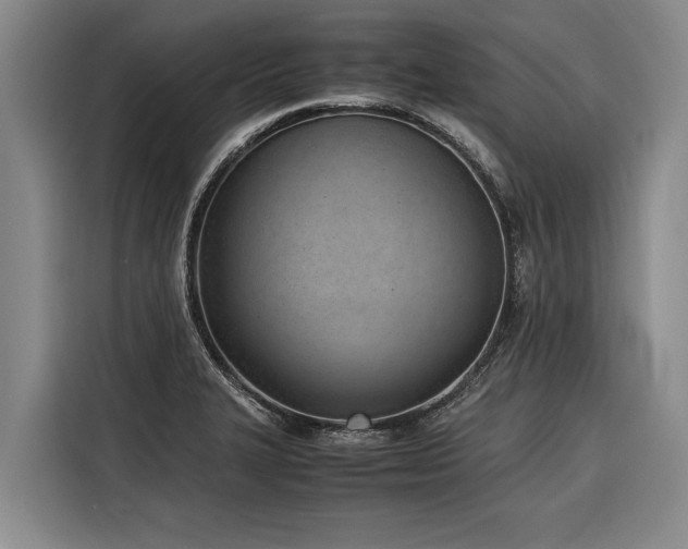 X0000116601327200912111106