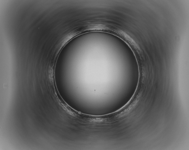X0000116601329200912111106