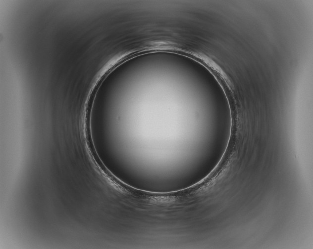 X0000116601333200912111106