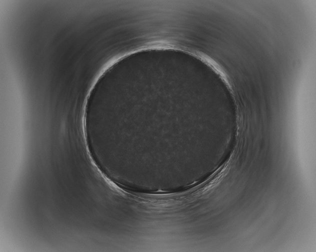 X0000116601334200912111106