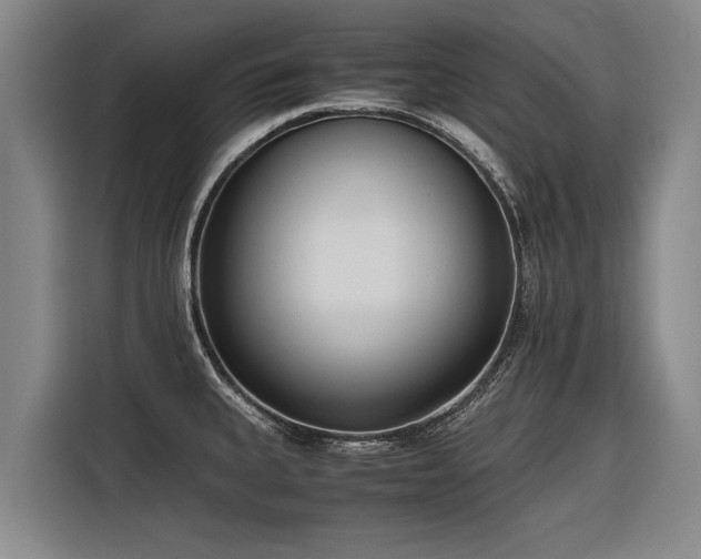 X0000116601335200912111106