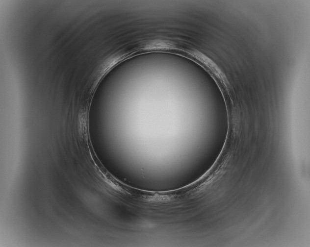 X0000116601337200912111106