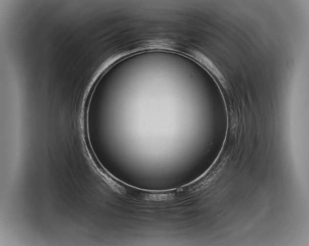 X0000116601339200912111106