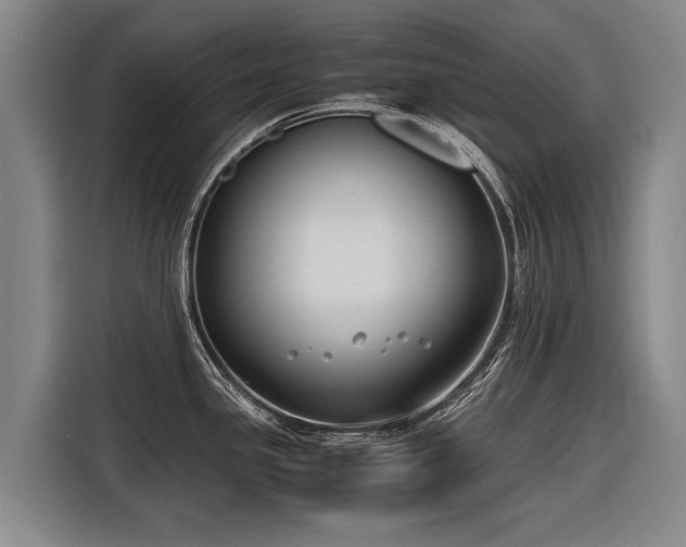 X0000116601341200912111106