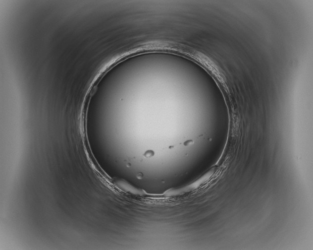 X0000116601342200912111106